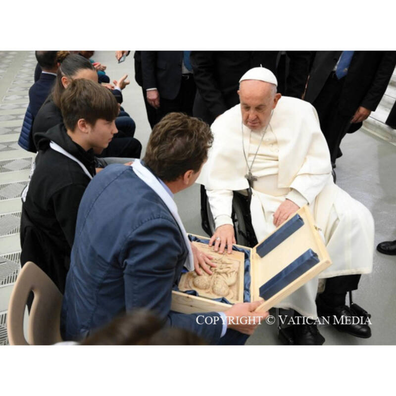 02 Post 1 1 SFP Udienza Papa Roma